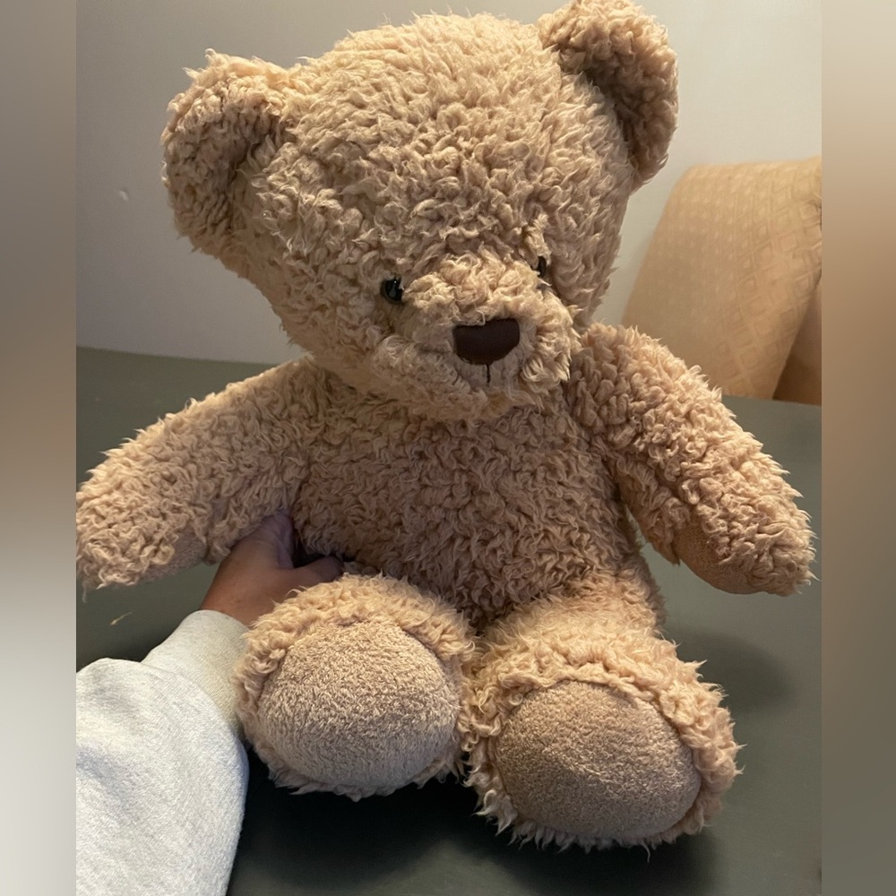 Build-A-Bear Fluffy Brown Teddy Bear